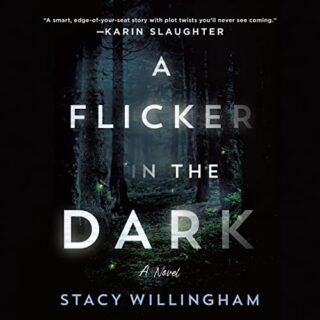 a flicker in the dark by Stacy Willingham 2022